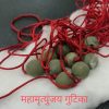 Maha-Mrityunjay Gutika